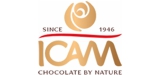 Ver todos os produtos de Icam