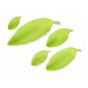 Folhas Verdes em A��car 5 modelos 30-90mm Modecor 100 un