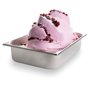 Base para Gelado Primafrutta Monza 1,5kg