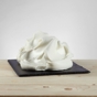 Piu Cremoso PreGel 1,2kg