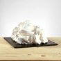 Sprint para Gelado Cco com Pedaos PreGel 0,92kg