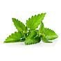 Aroma Alimentar - Menta 19me3 1L