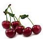 Aroma Alimentar - Ginja / Cereja 19ch18 lquido 1L