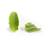 Decoraes de Chocolate Dobla - Curvy leaf green large 108 un