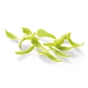 Barbara Decor Folhas e Petalas - Lime Leaves 2,5kg