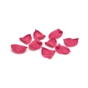 Barbara Decor Folhas e Petalas - Rose Petals 2kg