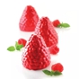 Molde de Silicone para Pastelaria Amora Framboesa 5x110ml �65x67mm