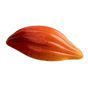 Molde em Plstico Policarbonato para Bombons Praline Theobroma 56x26x14mm