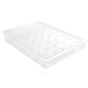 Suporte Plstico Transparente p/ Gelados de Pau 235x360x48mm