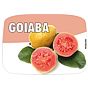 Etiqueta de Sabores para Gelados Goiaba