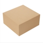 Caixa Nano-Micro Castanho sem Janela 170x140x115mm 50 un