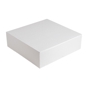 Caixa Nano-Micro Branco sem Janela 320x320x100mm 50 un