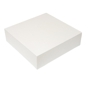 Caixa Nano-Micro Branco sem Janela 360x360x100mm 50 un