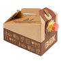 Caixa Bag in Box 5L 160oz Carto Castanho 25 un