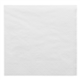 Guardanapo Papel Tissue 300x300mm 2 Folhas 24x100 un