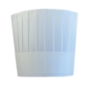 Chapu Clssico em Non-woven 23cm 10un