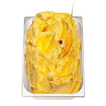 Base para Gelado Fruttosa PreGel 2kg