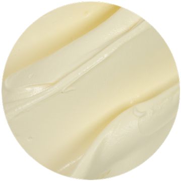 Sprint para Gelado Frozen Custard 1kg