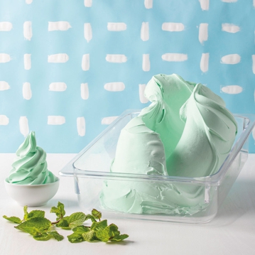 Sprint para Gelado Menta Zero PreGel 1kg