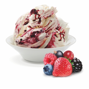 Variegato Frutto di Bosco Ecco 3,5kg