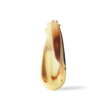 Decoraes de Chocolate Dobla - Feather Artisanal 126 un