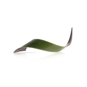 Decoraes de Chocolate Dobla - Twist green 80 un