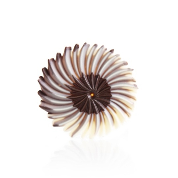 Decoraes de Chocolate Dobla - Rosette dark/white 30 un