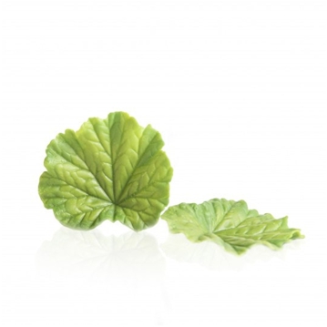 Decoraes de Chocolate Dobla - Spring leaf green 24 un
