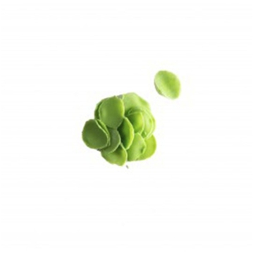 Dobla Folhas e Petalas - Petals mini green 1kg
