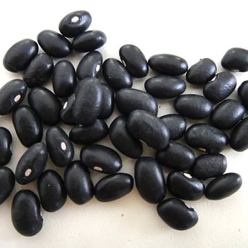 Black Beans Trevi 5kg