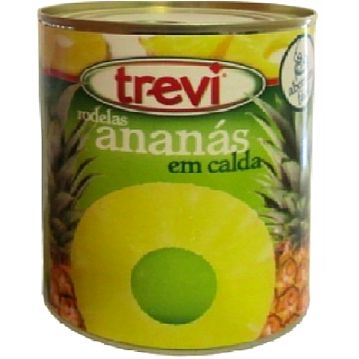 Anans em calda Trevi Lata 3005g