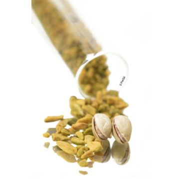Pistachio Granulado Torrado PreGel 1kg