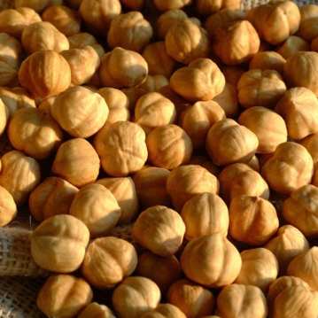 Granul� de Noisettes Grill�es cultivar Tonda di Giffoni Leagel 2kg