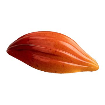 Molde de pl�stico de policarbonato para bombones Praline Theobroma 56x26x14mm