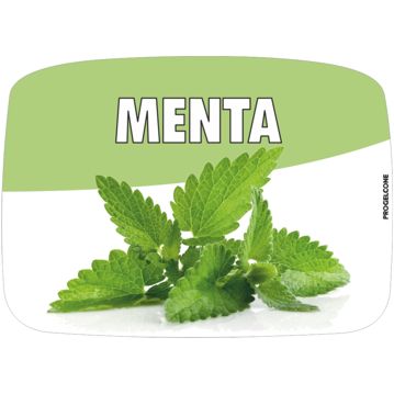 Etiqueta de Sabores para Gelados Menta