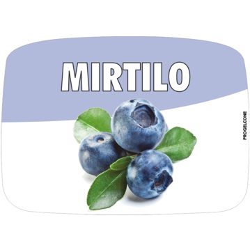 Etiqueta de Sabores para Gelados Mirtilo