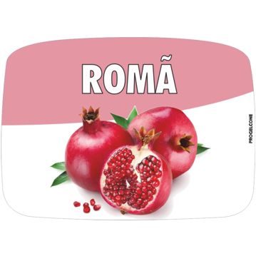 Etiqueta de Sabores para Gelados Rom