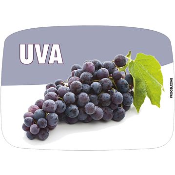 Etiqueta de Sabores para Gelados Uva