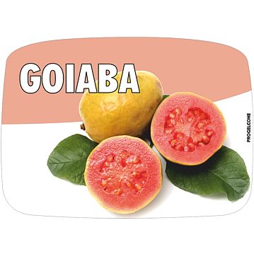 Etiqueta de Sabores para Gelados Goiaba