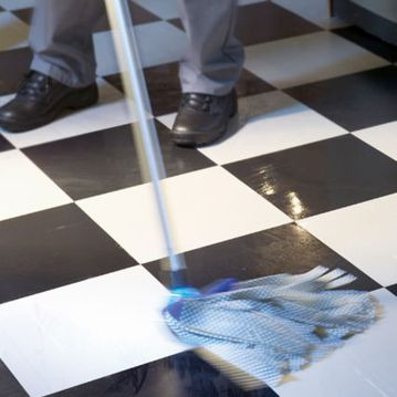 Esfregona Profissional Clssica Vileda 310 mm Azul