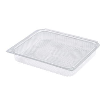 Embalagem Pl�stico PET Fresh Food 220x180x30mm 300 un