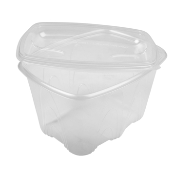 Contentor para Micro-ondas Rectangular BCKTP1501 Transl�cido 1500ml 185x145x122mm 480 un
