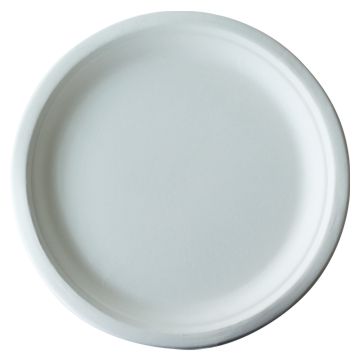 Prato em Cana de Acar Branco 261x20mm 10x50un