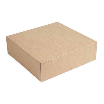 Caixa Nano-Micro Castanho sem Janela 300x300x80mm 2x50 un