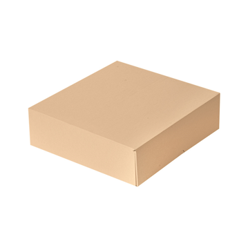 Caixa Nano-Micro Castanho sem Janela 230x230x75mm 4x50 un