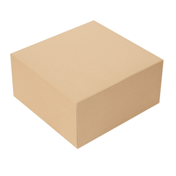Caixa Nano-Micro Castanho sem Janela 240x240x120mm 2x50 un