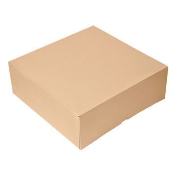 Caixa Nano-Micro Castanho sem Janela 280x280x100mm 2x50 un