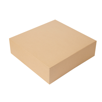 Caixa Nano-Micro Castanho sem Janela 320x320x100mm 2x50 un