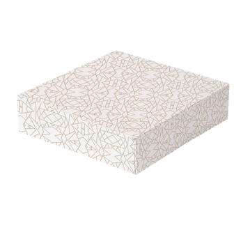 Caixa Nano-Micro Branco sem Janela 230x230x75mm 4x50 un