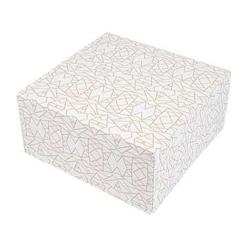 Caixa Nano-Micro Branco sem Janela 240x240x120mm 2x50 un